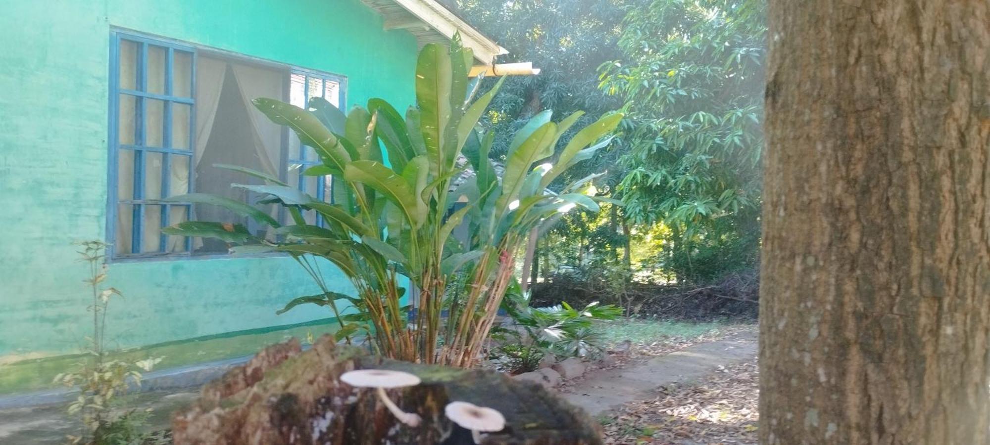 Hostal Juan Lindo San Pedro Sula Exterior foto